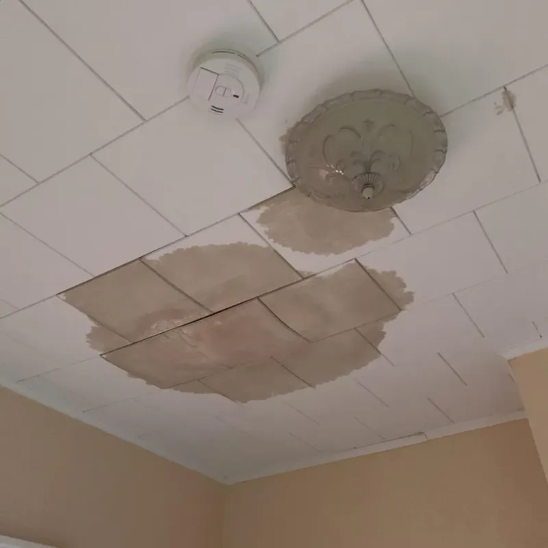 Ceiling Water Damage Repair in Hill City, KS