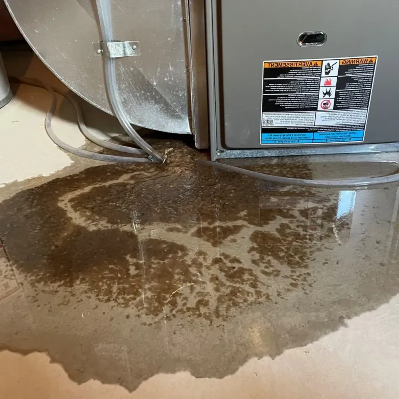 Pipe Burst and Leak Restoration in Hill City, KS