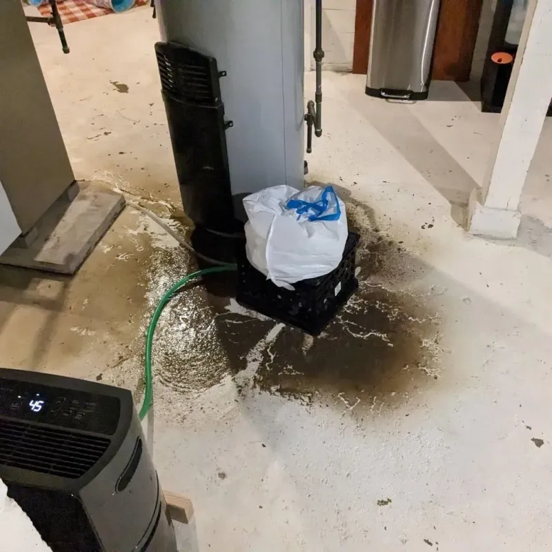 Sewage Backup Cleanup Service in Hill City, KS